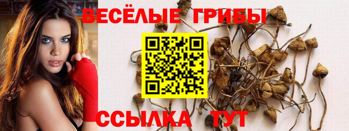 Псилоцибиновые грибы Magic Shrooms Гай